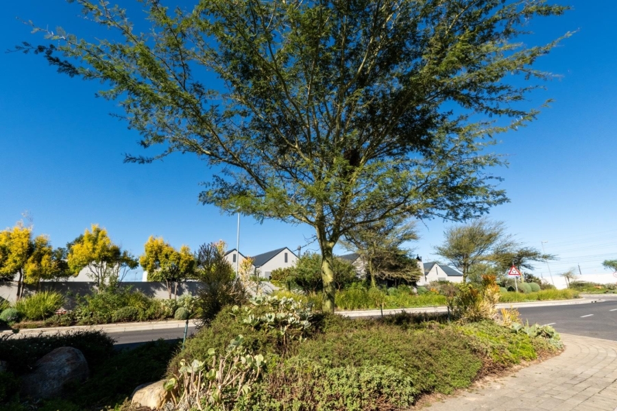 To Let 3 Bedroom Property for Rent in Aan de Wijnlanden Western Cape